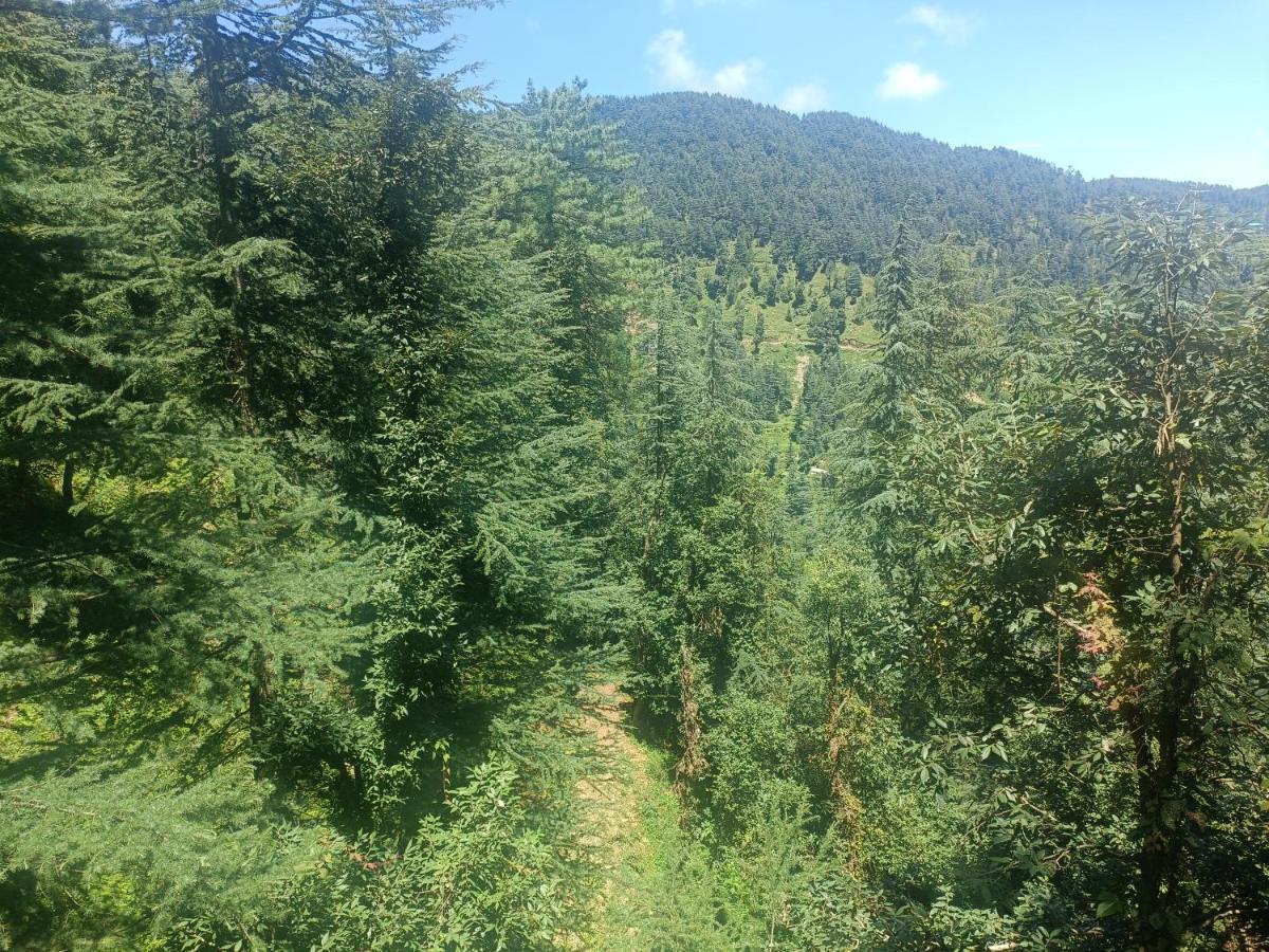 Peace Holiday Homestay Чайл Екстериор снимка